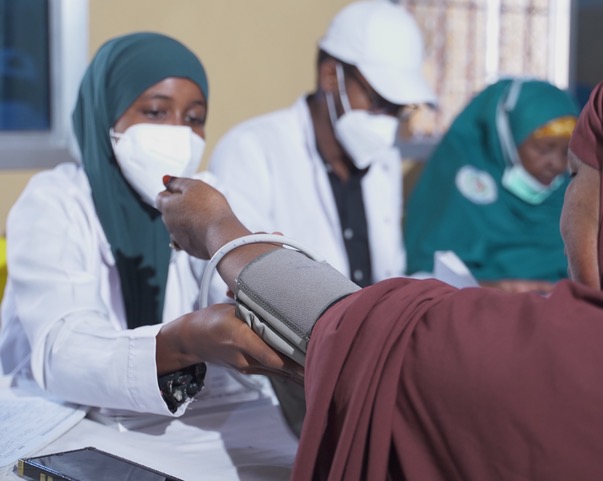 A Systems Approach to Digital Health: Inspiration from the HADDA Programme